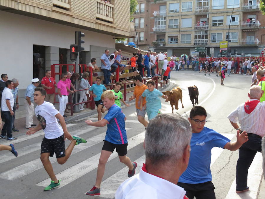 Los alfareños vivieron la tercera jornada de sus fiestas en honor a sus patronos, San Roque y San Ezequiel.