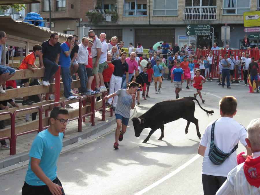 Los alfareños vivieron la tercera jornada de sus fiestas en honor a sus patronos, San Roque y San Ezequiel.