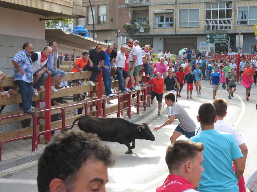 Los alfareños vivieron la tercera jornada de sus fiestas en honor a sus patronos, San Roque y San Ezequiel.