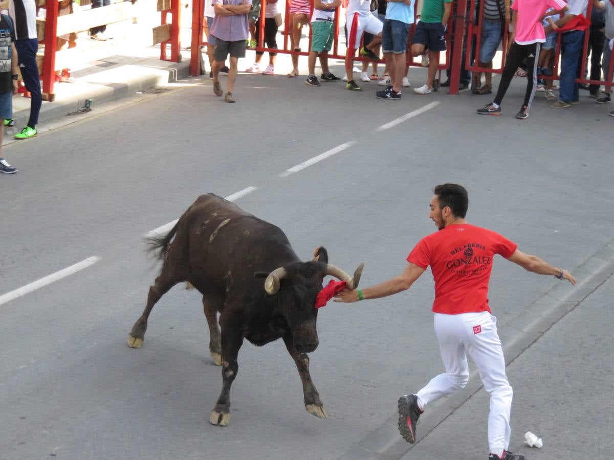 Vaquillas, comidas en cuadrilla, degustaciones, gigantes y cabezudos... un sinfín de actos en las fiestas alfareñas.