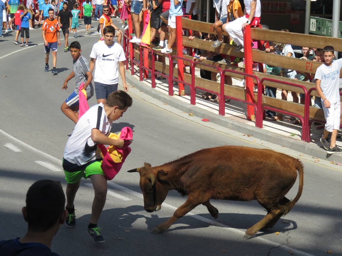 Vaquillas, comidas en cuadrilla, degustaciones, gigantes y cabezudos... un sinfín de actos en las fiestas alfareñas.