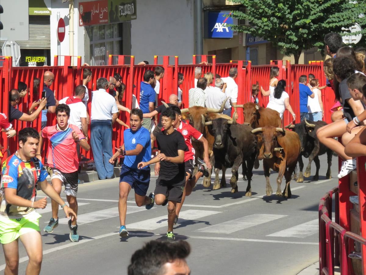 Vaquillas, comidas en cuadrilla, degustaciones, gigantes y cabezudos... un sinfín de actos en las fiestas alfareñas.