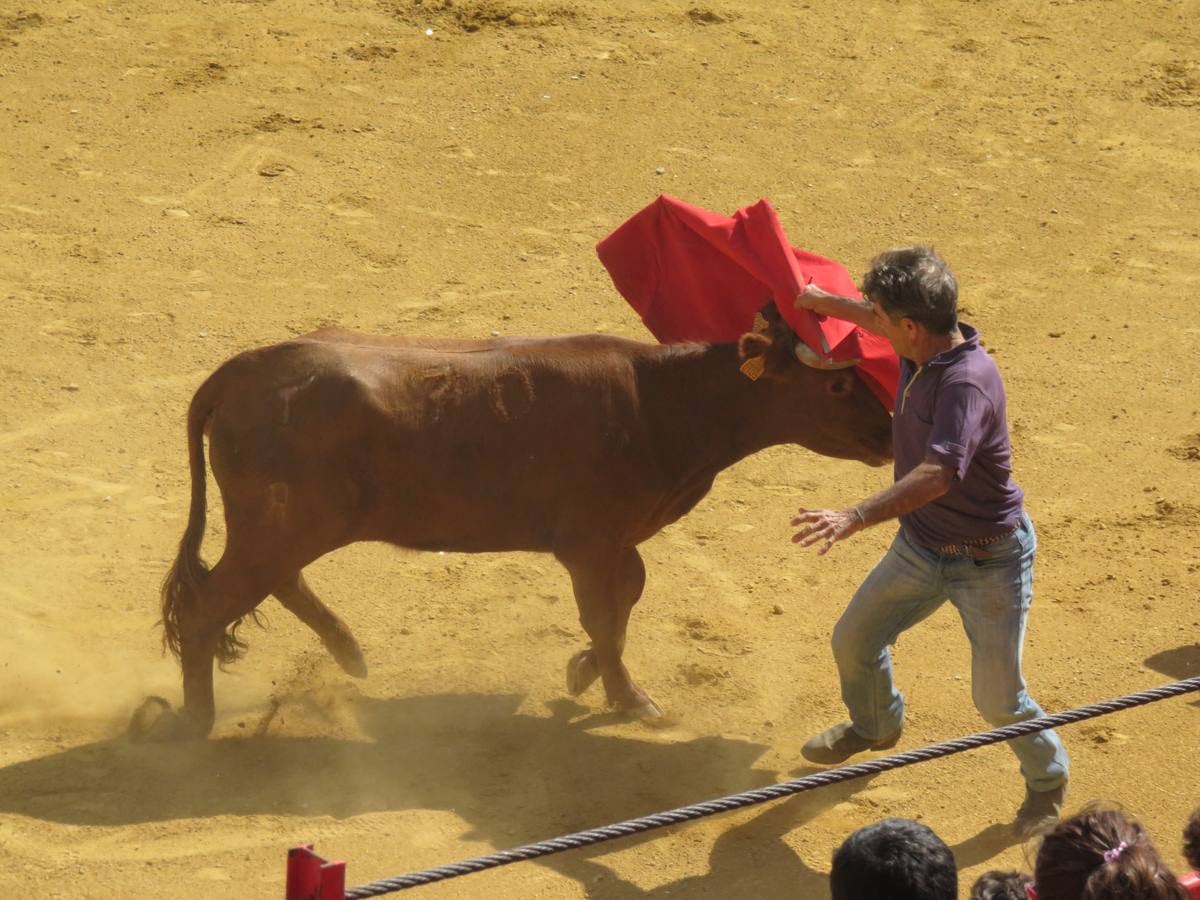 Vaquillas, comidas en cuadrilla, degustaciones, gigantes y cabezudos... un sinfín de actos en las fiestas alfareñas.