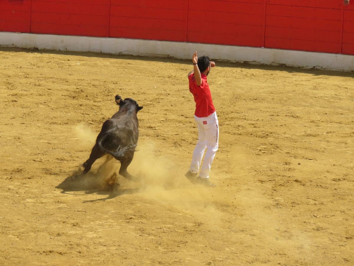 Vaquillas, comidas en cuadrilla, degustaciones, gigantes y cabezudos... un sinfín de actos en las fiestas alfareñas.