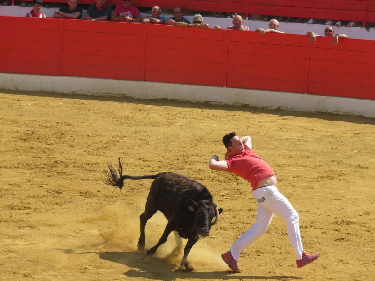 Vaquillas, comidas en cuadrilla, degustaciones, gigantes y cabezudos... un sinfín de actos en las fiestas alfareñas.