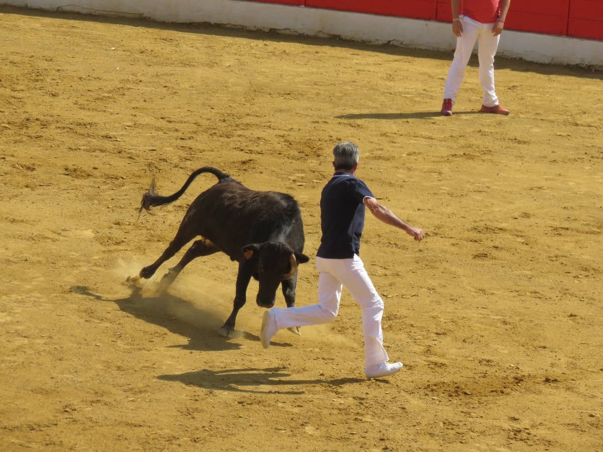 Vaquillas, comidas en cuadrilla, degustaciones, gigantes y cabezudos... un sinfín de actos en las fiestas alfareñas.