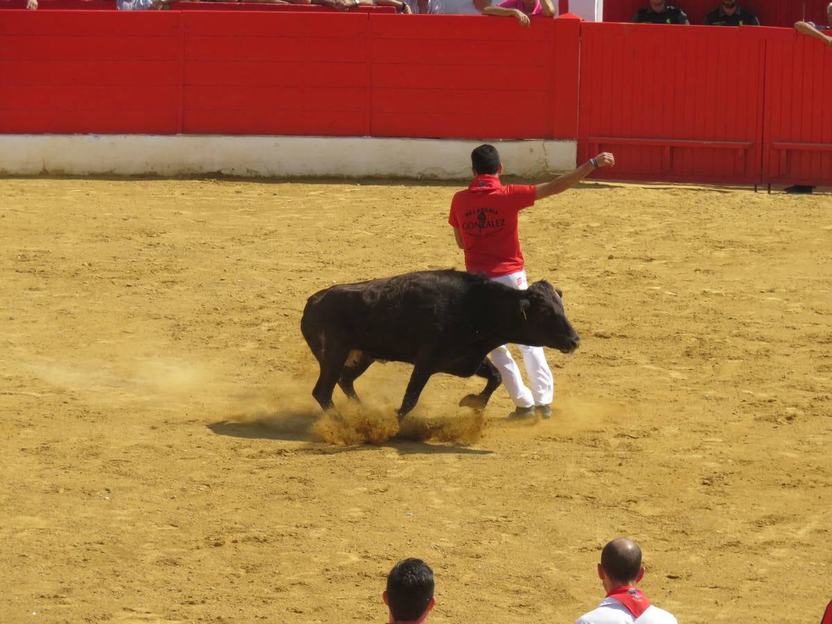 Vaquillas, comidas en cuadrilla, degustaciones, gigantes y cabezudos... un sinfín de actos en las fiestas alfareñas.