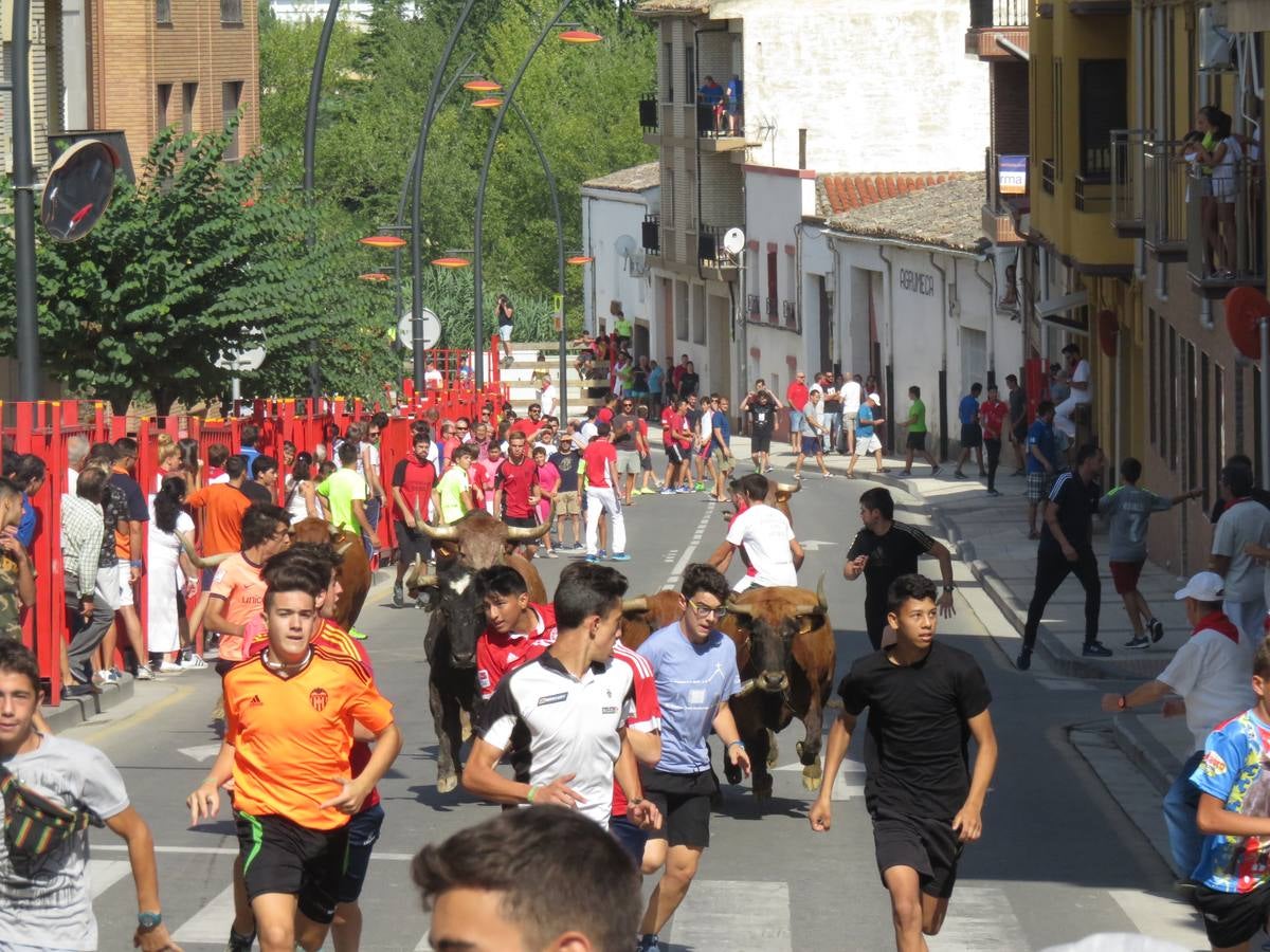 Vaquillas, comidas en cuadrilla, degustaciones, gigantes y cabezudos... un sinfín de actos en las fiestas alfareñas.