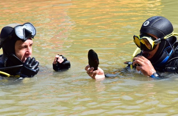 La ninfa del Ebro resucita en La Rioja