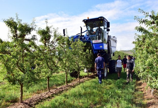 La almendra mecánica