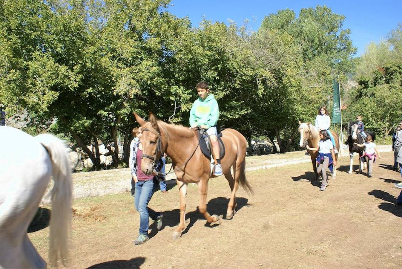 Tradición ganadera en Canales de la Sierra donde ayer se vivió su tradicional feria de ganado. Artesanía y productos de la tierra acompañaron una actividad que pelea por mantener su espacio y conservar el medio