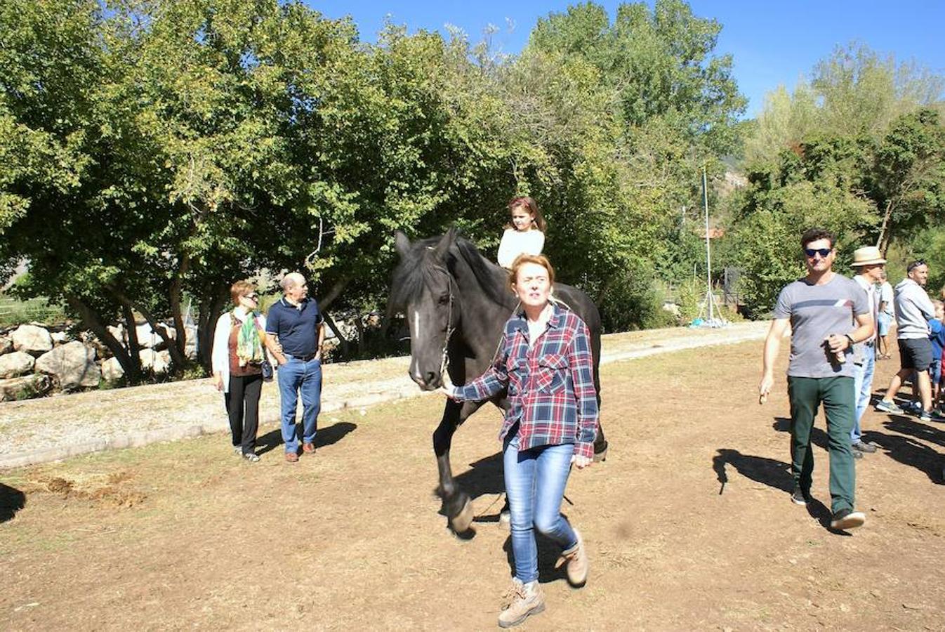 Tradición ganadera en Canales de la Sierra donde ayer se vivió su tradicional feria de ganado. Artesanía y productos de la tierra acompañaron una actividad que pelea por mantener su espacio y conservar el medio