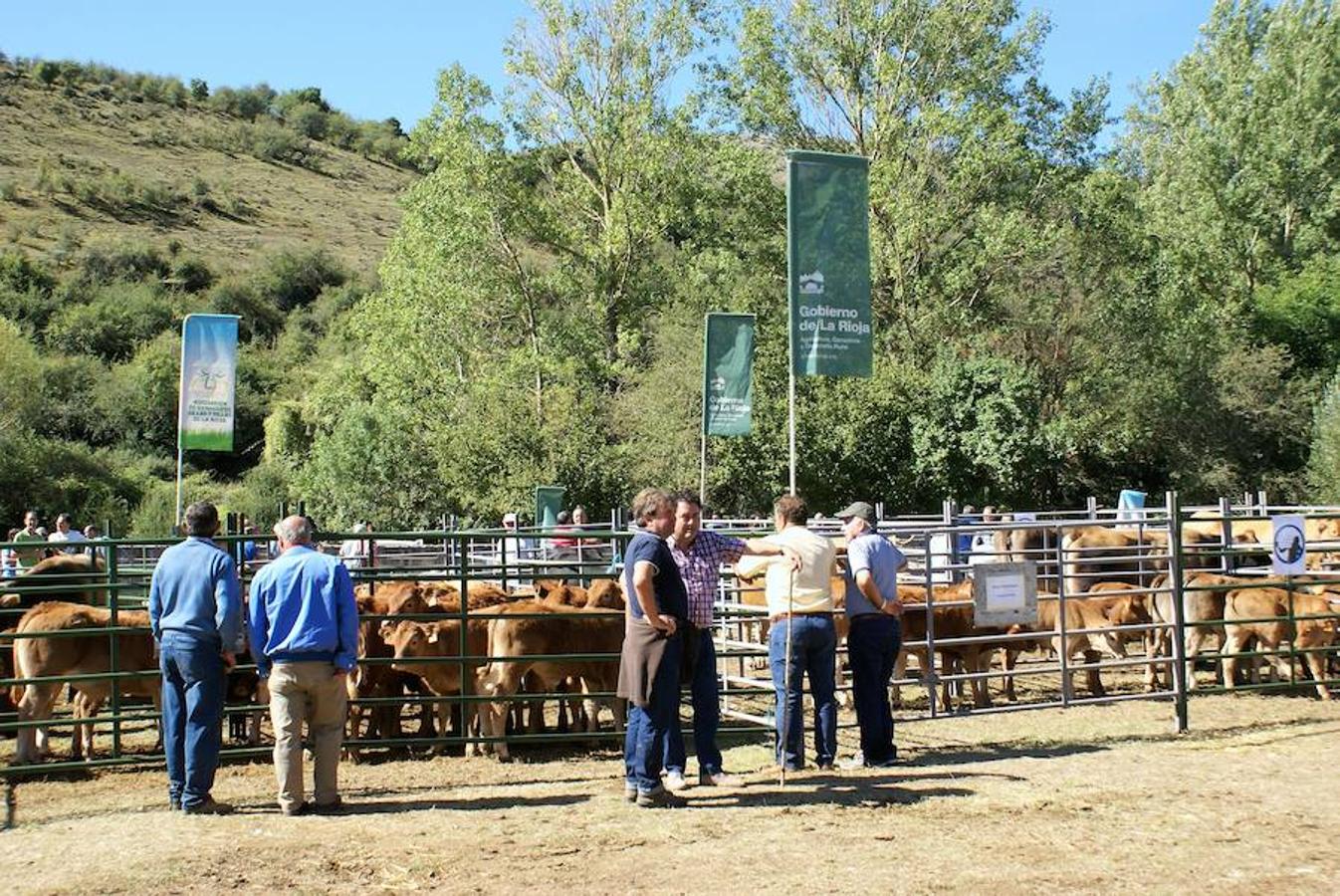 Tradición ganadera en Canales de la Sierra donde ayer se vivió su tradicional feria de ganado. Artesanía y productos de la tierra acompañaron una actividad que pelea por mantener su espacio y conservar el medio