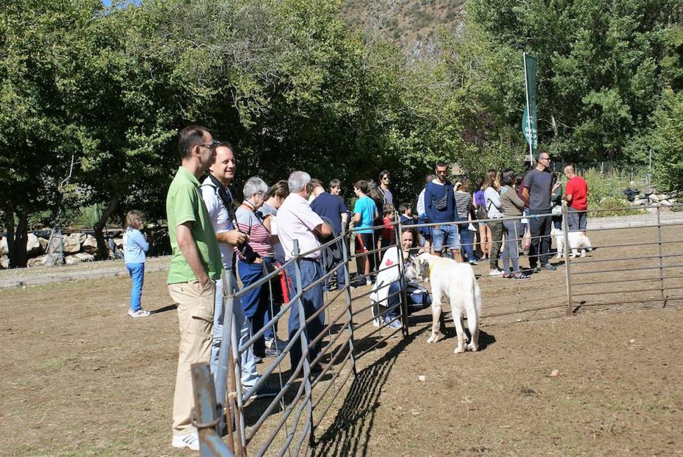 Tradición ganadera en Canales de la Sierra donde ayer se vivió su tradicional feria de ganado. Artesanía y productos de la tierra acompañaron una actividad que pelea por mantener su espacio y conservar el medio