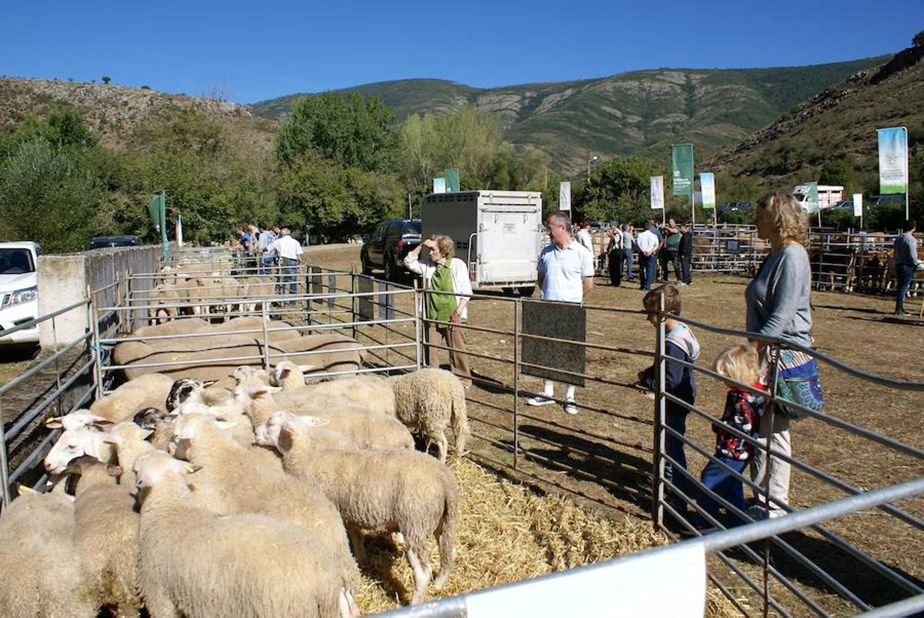 Tradición ganadera en Canales de la Sierra donde ayer se vivió su tradicional feria de ganado. Artesanía y productos de la tierra acompañaron una actividad que pelea por mantener su espacio y conservar el medio