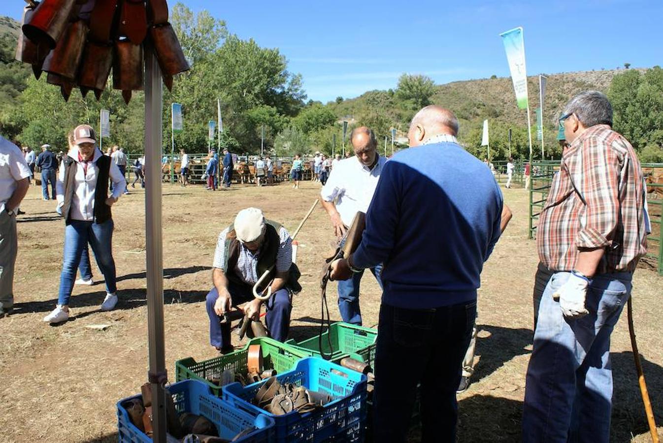 Tradición ganadera en Canales de la Sierra donde ayer se vivió su tradicional feria de ganado. Artesanía y productos de la tierra acompañaron una actividad que pelea por mantener su espacio y conservar el medio