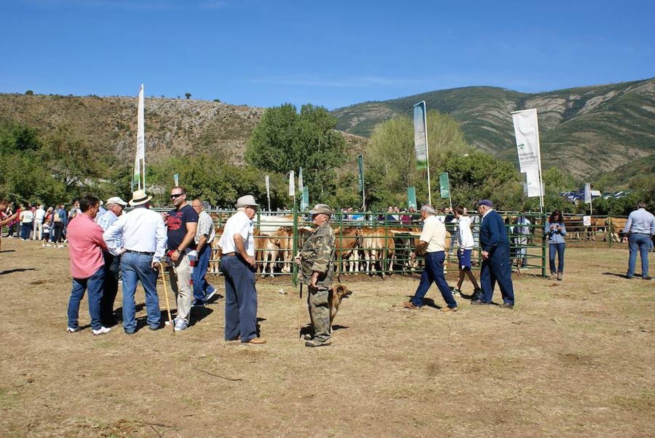 Tradición ganadera en Canales de la Sierra donde ayer se vivió su tradicional feria de ganado. Artesanía y productos de la tierra acompañaron una actividad que pelea por mantener su espacio y conservar el medio