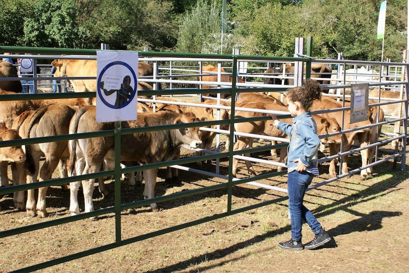 Tradición ganadera en Canales de la Sierra donde ayer se vivió su tradicional feria de ganado. Artesanía y productos de la tierra acompañaron una actividad que pelea por mantener su espacio y conservar el medio