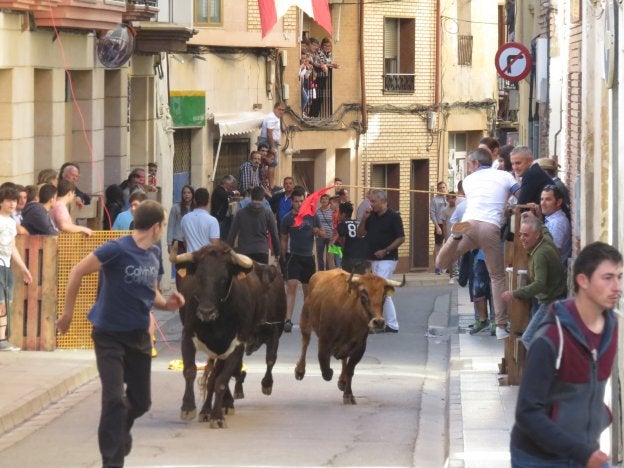 Numeroso público disfrutó en la tarde de ayer de la tercera y última suelta de reses bravas de estas fiestas por la patrona alfareña. :: 