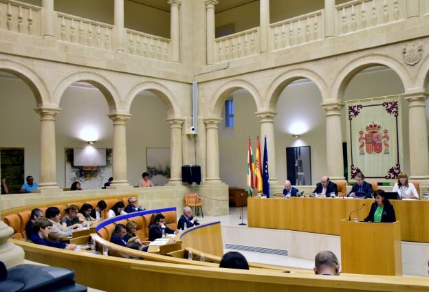 Andreu ante el resto del hemiciclo durante una de sus intervenciones ante el pleno celebrado ayer. :: miguel herreros