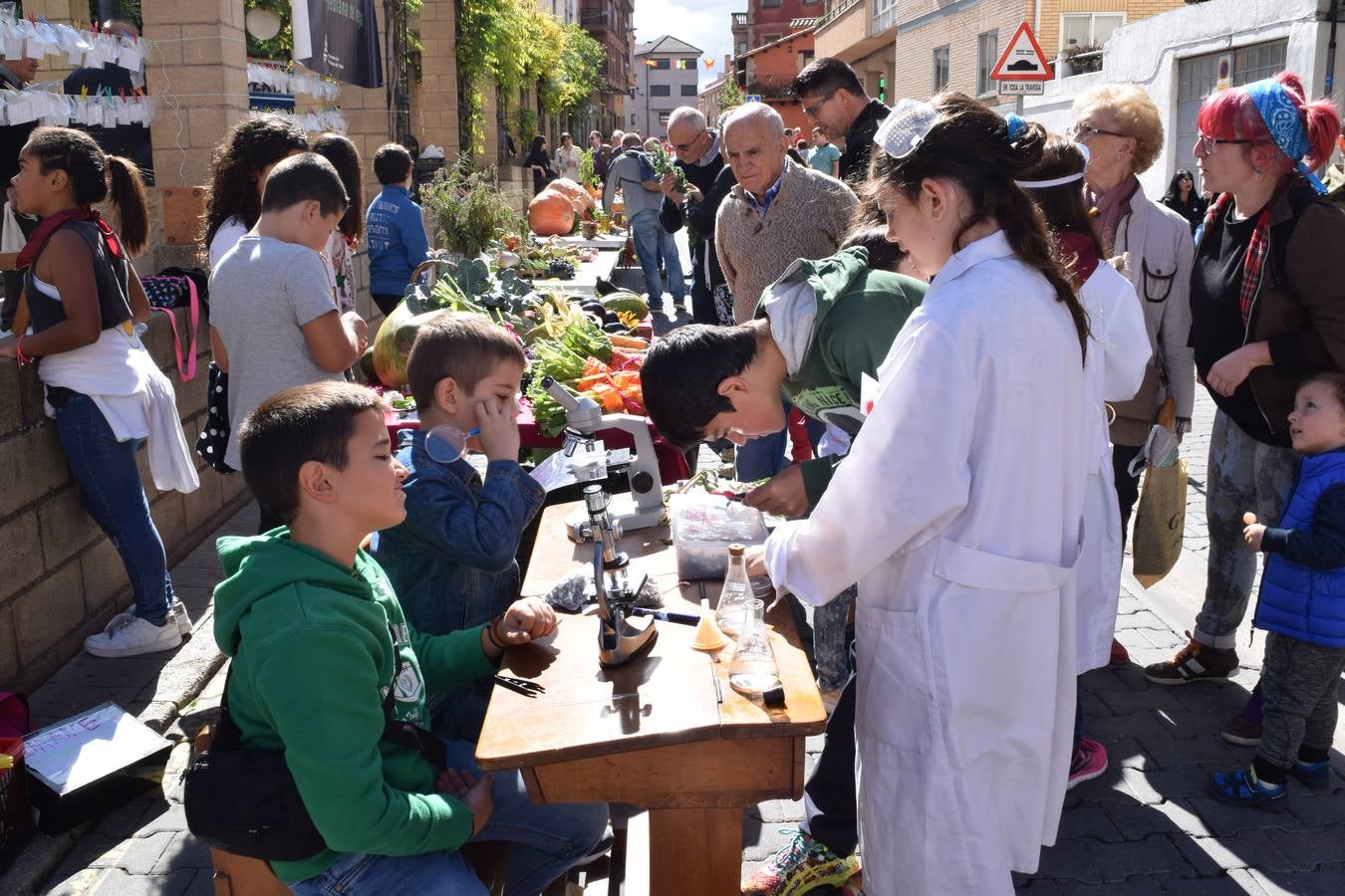 Villamediana ha celebrado el día grande de sus fiestas de Santa Eufemia