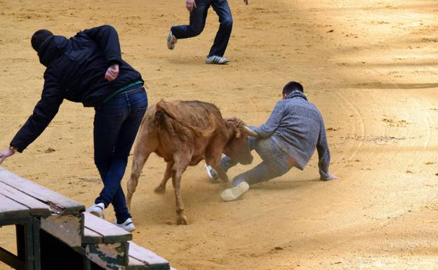 Comienzan las vaquillas