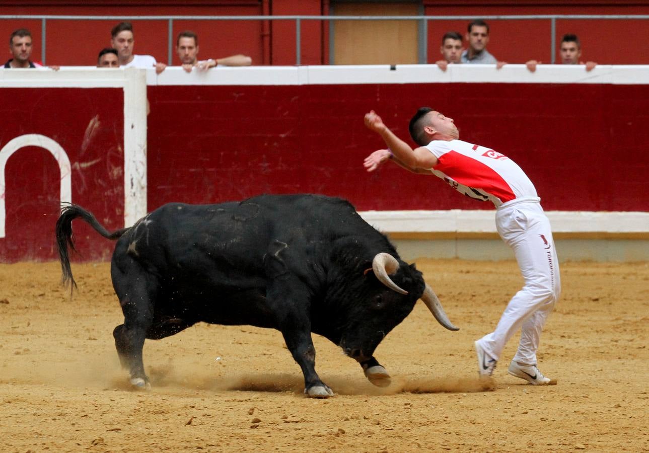 Pablo Martín gana la semifinal del concurso de recortadores