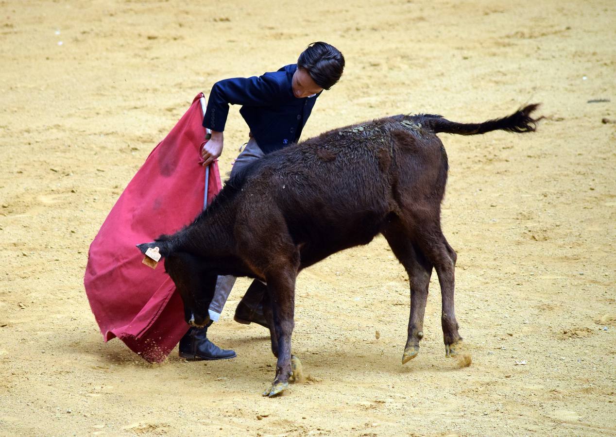 Las vaquillas, uno de los actos más concurridos de las fiestas de San Mateo ya han comenzado con el habitual éxito de público