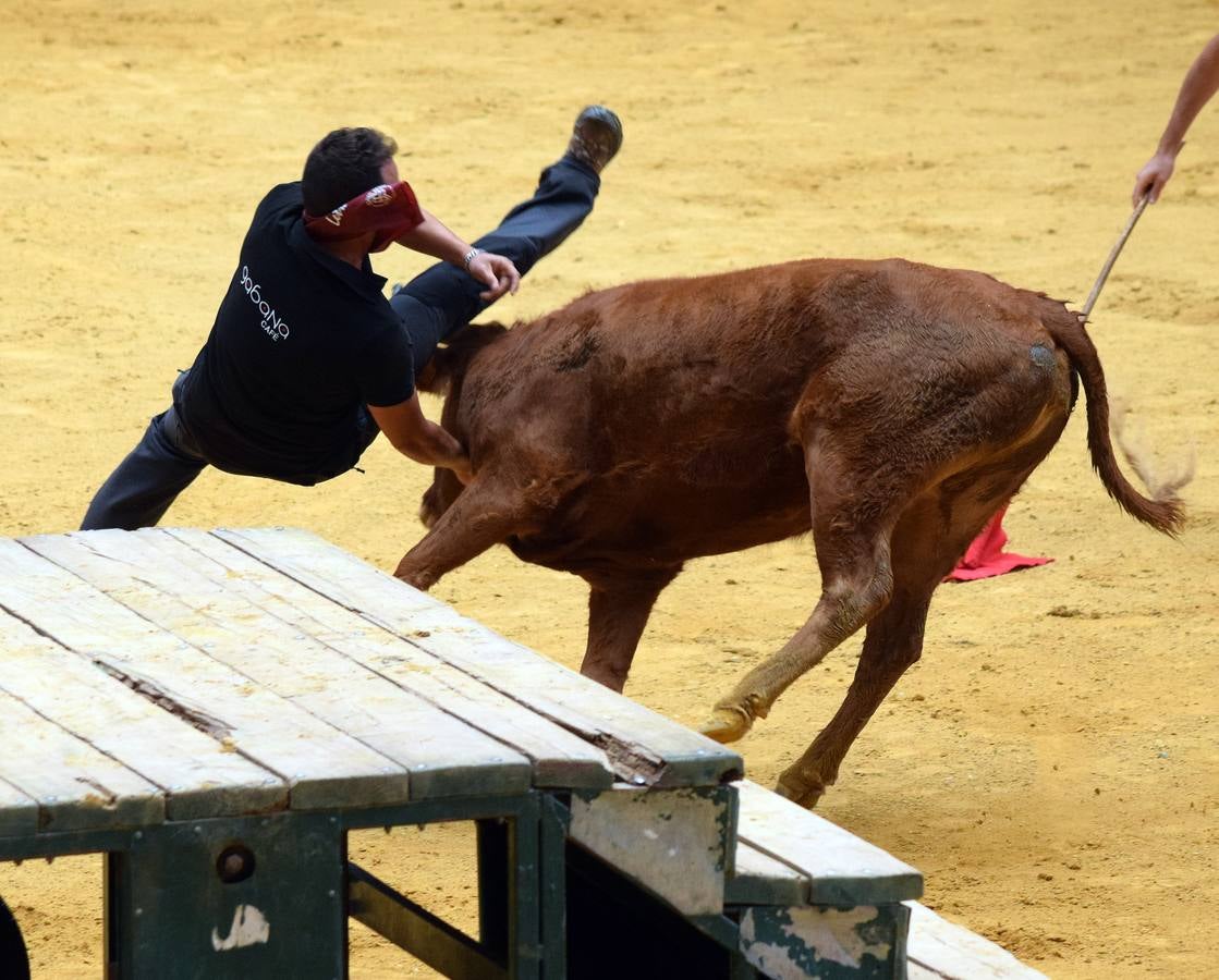 Las vaquillas, uno de los actos más concurridos de las fiestas de San Mateo ya han comenzado con el habitual éxito de público