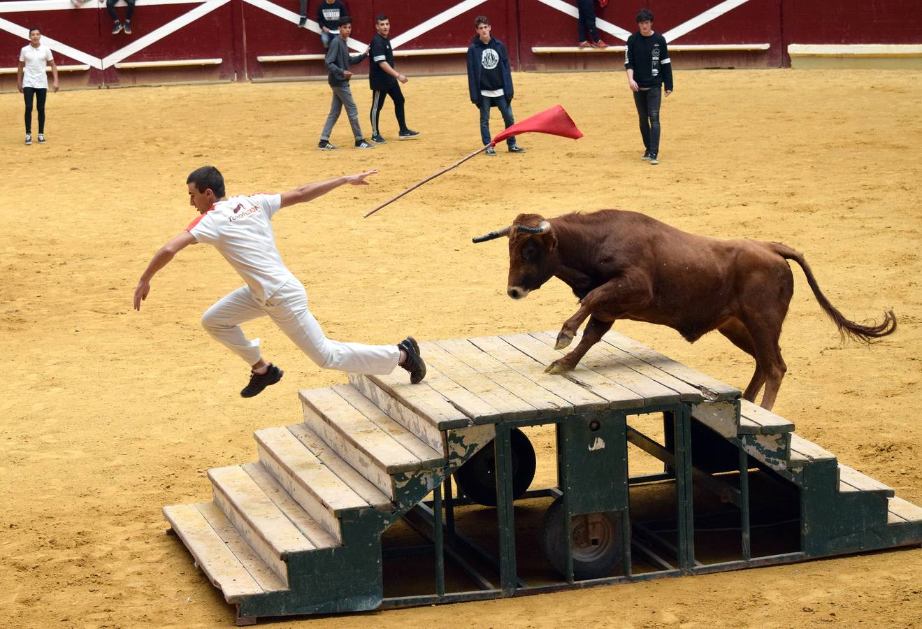 Las vaquillas, uno de los actos más concurridos de las fiestas de San Mateo ya han comenzado con el habitual éxito de público