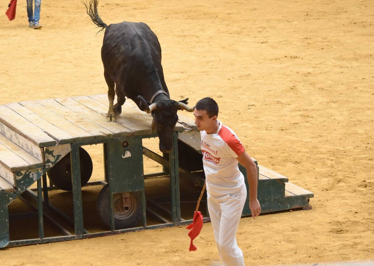 Las vaquillas, uno de los actos más concurridos de las fiestas de San Mateo ya han comenzado con el habitual éxito de público