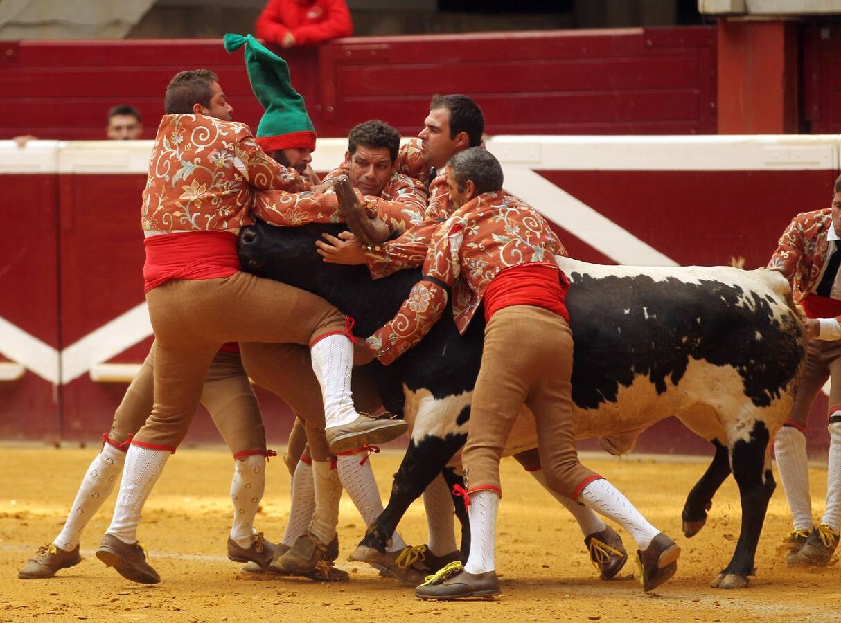 Los forçados portugueses protagonizaron la apertura de las vaquillas en el día de San Mateo en La Ribera