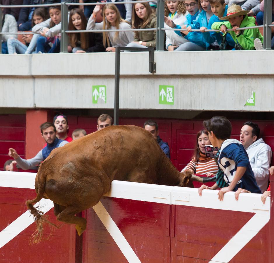 Los asistentes a las vaquillas disfrutaron de lo lindo con las vaquillas saltarinas de José Arriazu. También hubo exhibición de anillas por los campeones de España.