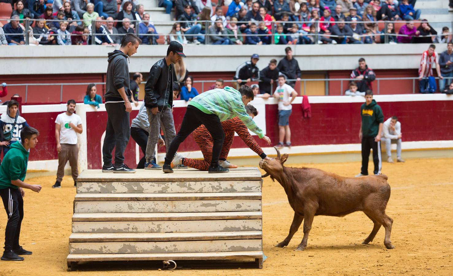 Los asistentes a las vaquillas disfrutaron de lo lindo con las vaquillas saltarinas de José Arriazu. También hubo exhibición de anillas por los campeones de España.