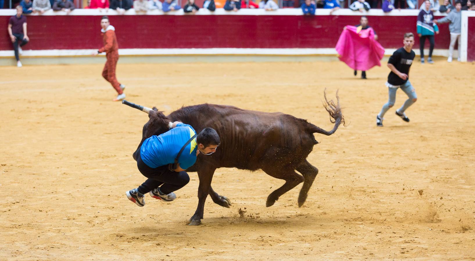 Los asistentes a las vaquillas disfrutaron de lo lindo con las vaquillas saltarinas de José Arriazu. También hubo exhibición de anillas por los campeones de España.