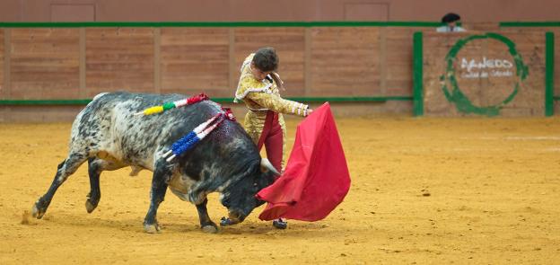 Rafael González, con el sexto novillo de la tarde de ayer en Arnedo. :: sonia tercero