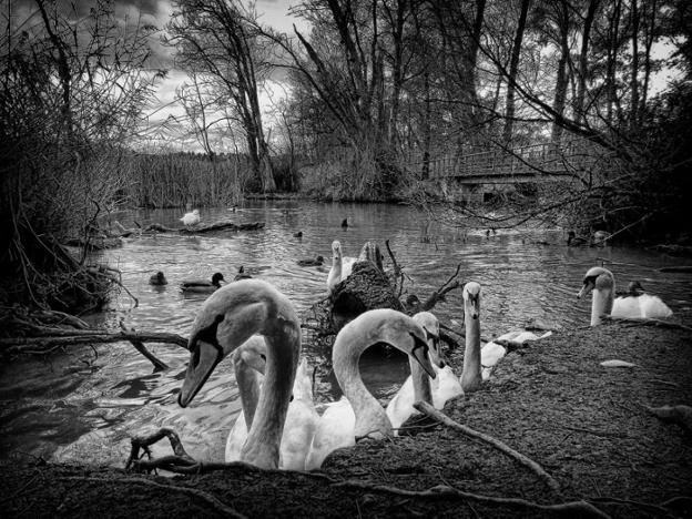 La fotografía 'El rincón', de Ángel Benito Zapata, ganó la primera edición del concurso.