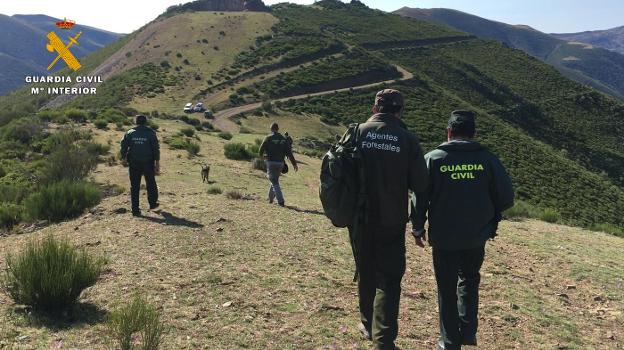 Guardias civiles del Seprona y agentes forestales recorren un monte en el Alto Najerilla. :: guardia civil