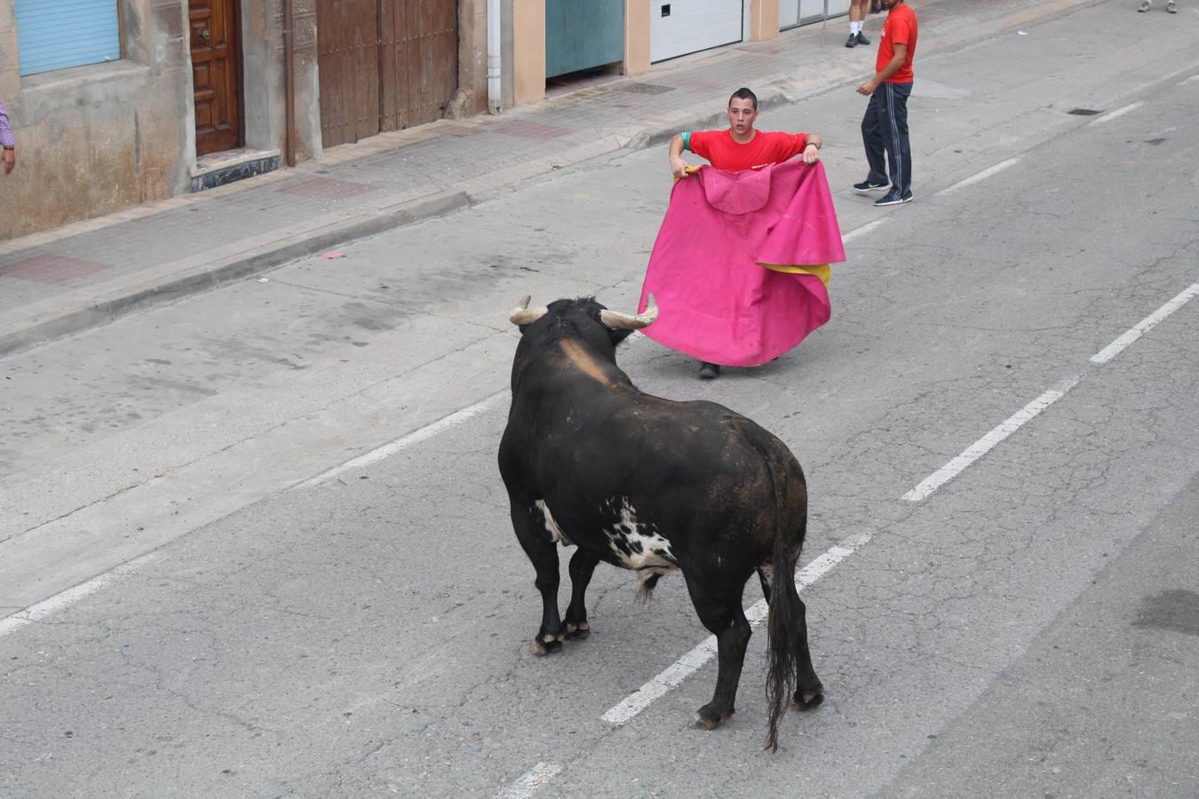 Las imágenes de la jornada festiva en Rincón de Soto
