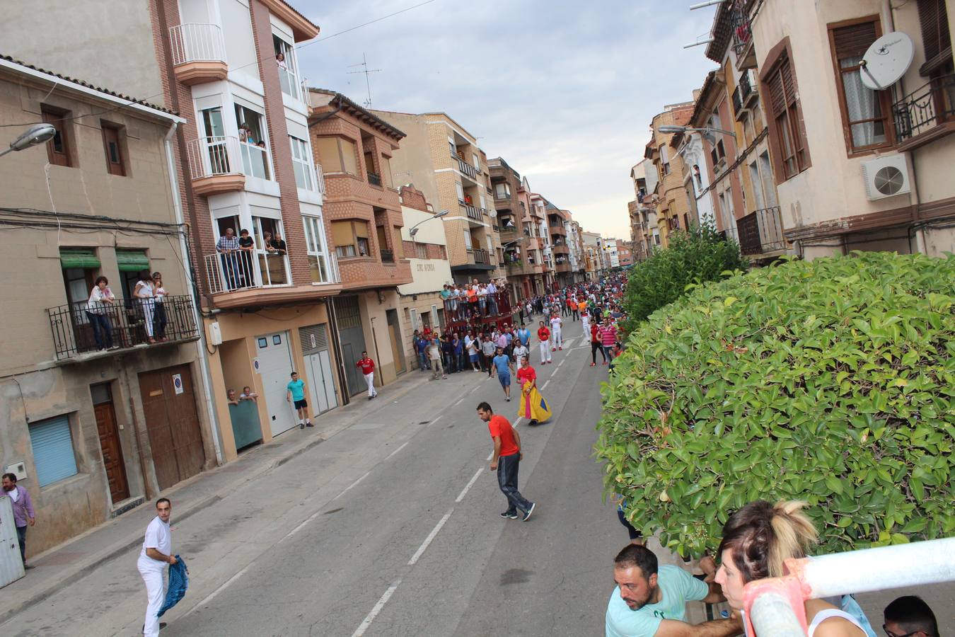 Las imágenes de la jornada festiva en Rincón de Soto