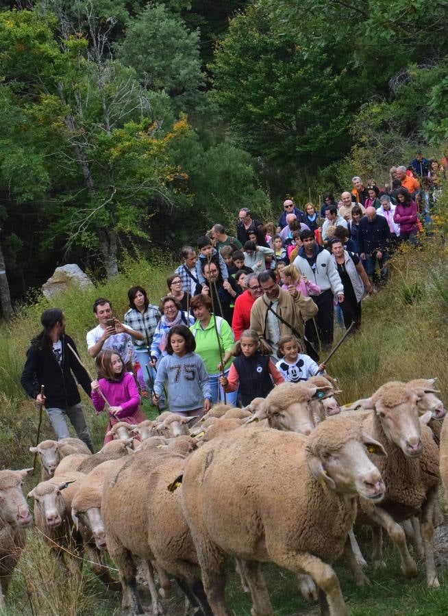 La Venta de Piqueras ha acogido esta tradicional cita