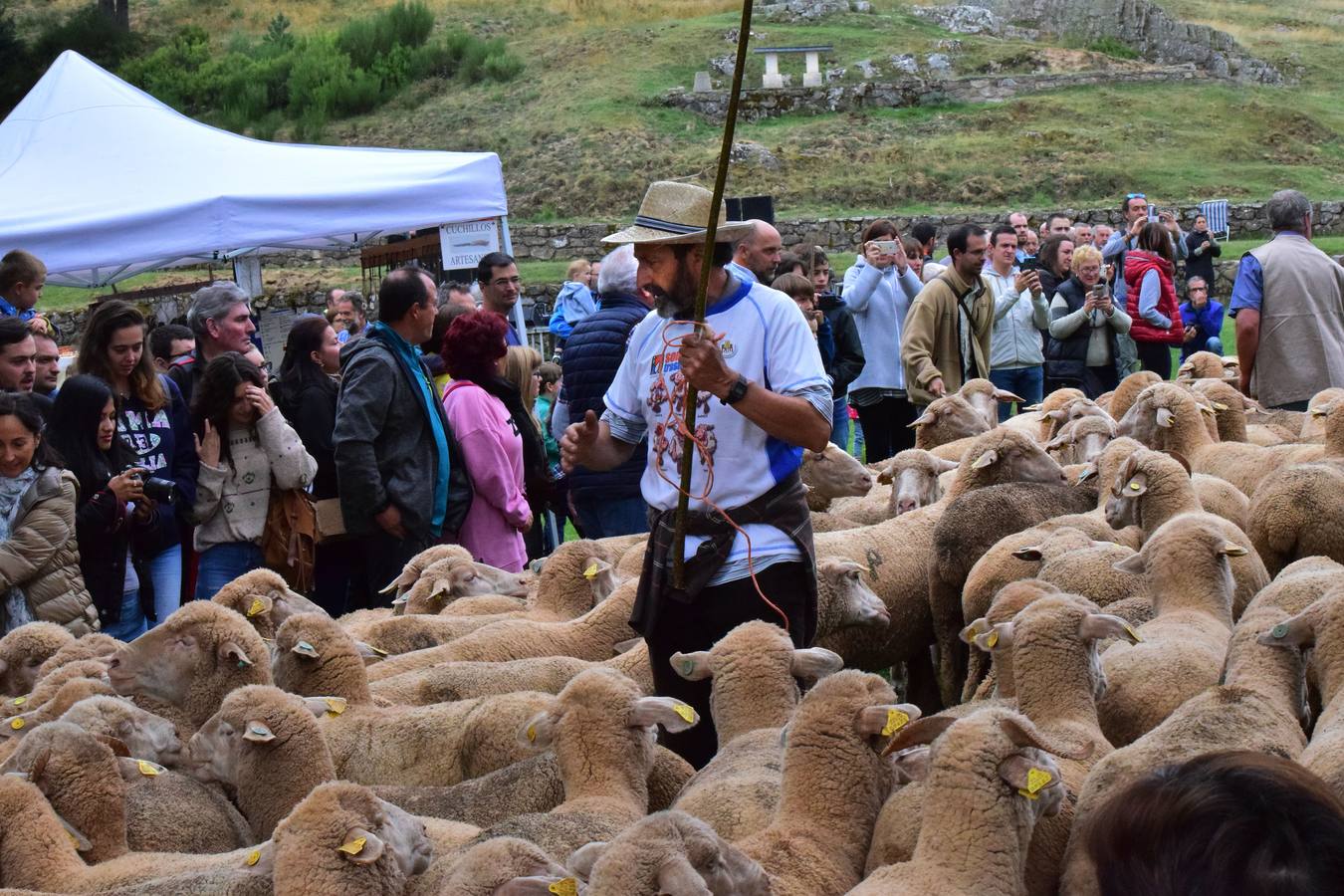 La Venta de Piqueras ha acogido esta tradicional cita