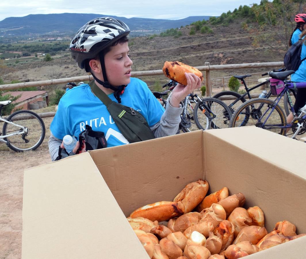 En la cita se disfrutó del deporte, de la vistas de los miradores de Lardero e incluso de almuerzo