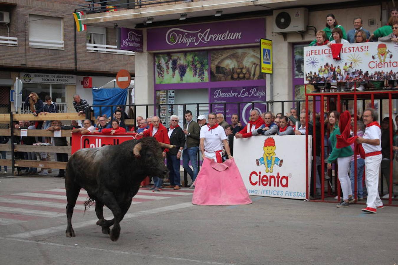 Arnedo tiene cantera para dar continuidad a las fiestas. Los peques protagonizaron un multitudinario pasacalles como antesala al cierre de los festejos