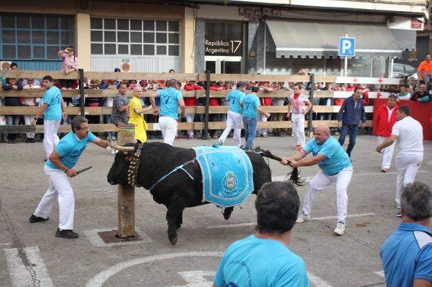 La asociación Toro en la Calle colocó el manto a un astado. :: 