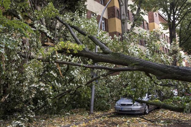 Un árbol caído en un barrio de Berlín, uno de los cientos que fueron derribados o arrancados por el viento de temporal. :: Omer Messinger / EFE