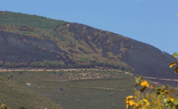 Un incendio que deja al valle en ascuas