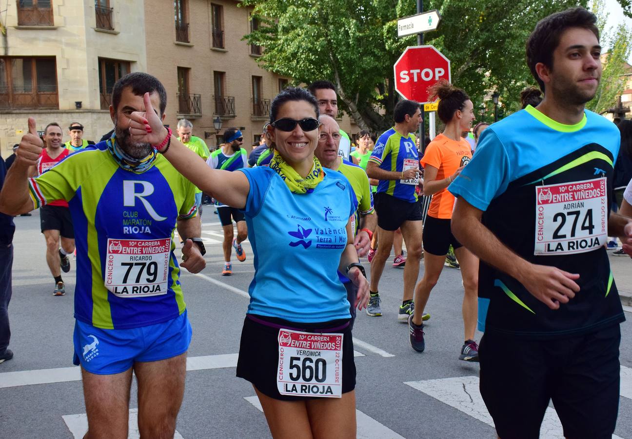 Gran jornada de atletismo en la ya tradicional Carrera Entreviñedos de Cenicero