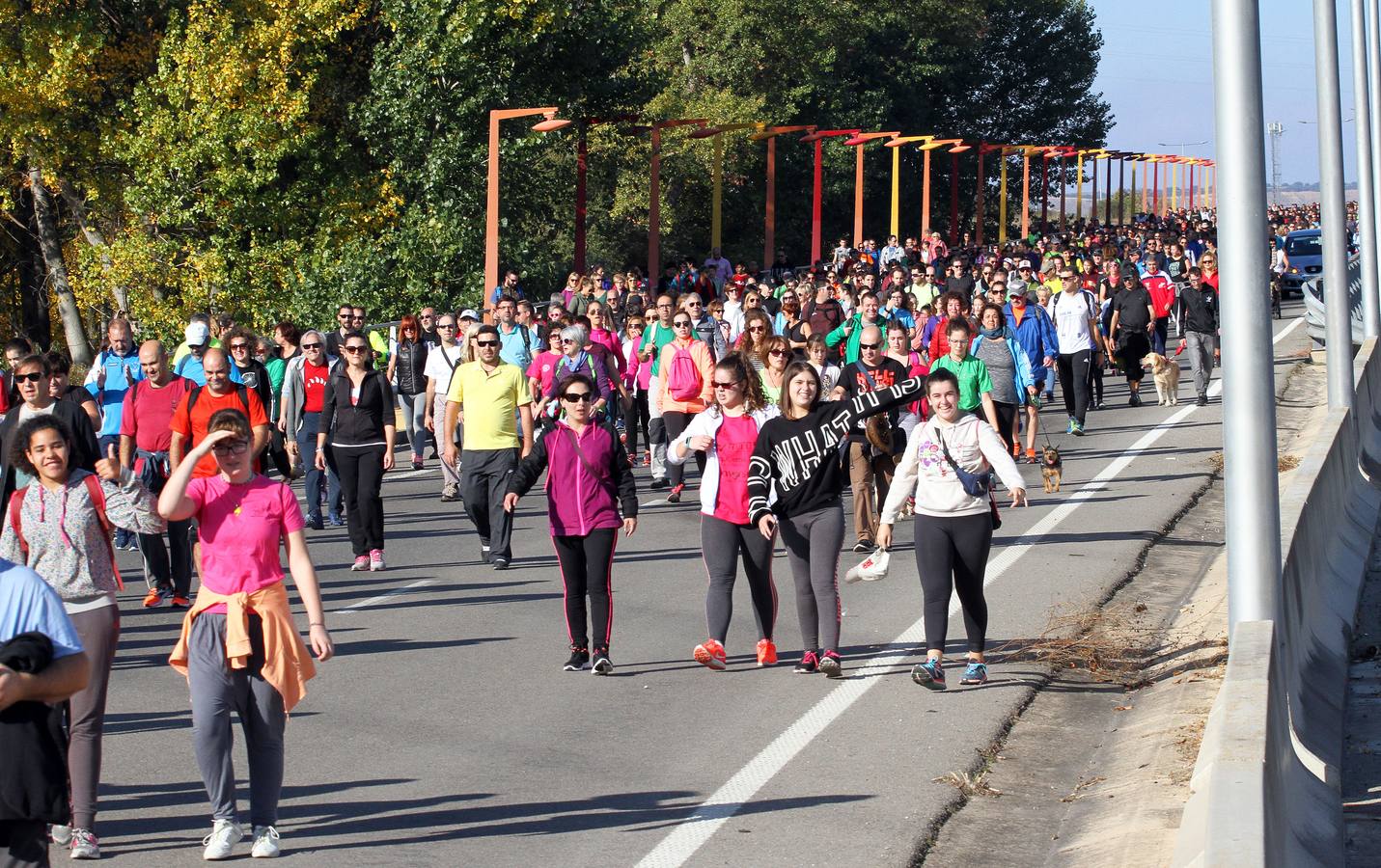 iel a su cita con la solidaridad, la tradicional marcha ASPACE ha echado a andar este domingo, 29 de octubre, desde el polideportivo municipal de Las Gaunas con la participación de alrededor de 3.000 personas que han querido apoyar esta iniciativa que pretende concienciar a la sociedad riojana sobre la realidad de las personas con parálisis cerebral.