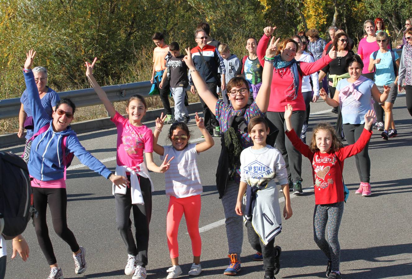 iel a su cita con la solidaridad, la tradicional marcha ASPACE ha echado a andar este domingo, 29 de octubre, desde el polideportivo municipal de Las Gaunas con la participación de alrededor de 3.000 personas que han querido apoyar esta iniciativa que pretende concienciar a la sociedad riojana sobre la realidad de las personas con parálisis cerebral.